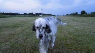 CIMG0680