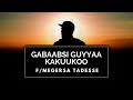 Gabaabsi Guyyaa Kakuukoo Megersa Tadasse