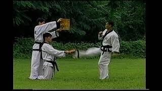 Hapkido Part 1 (1995)