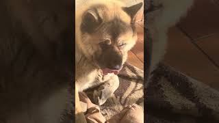 Поспать Надо ,Ночь Будет Тяжёлой