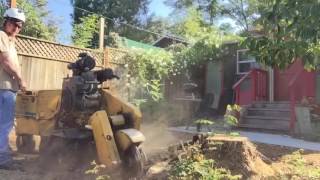 Stump Grinding Time Lapse