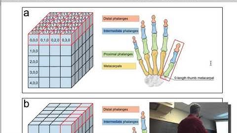 Human Computer Interaction Class, Lecture 09 of 27