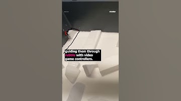 Bugs with backpacks could help save lives