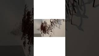 CHIRIYA URR - INSTALLATION BY SHAMBHAVI