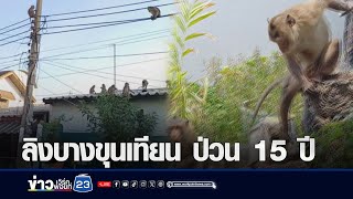 แก้ไม่ตก! ลิงบางขุนเทียน บุกพังบ้าน 15 ปี l ตลาดข่าว - ข่าวเช้าเวิร์คพอยท์ l 20 พ.ค.67