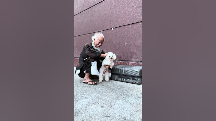 The old man successfully rescued the dog [KINDNESS MAN] #kindness #homeless #help #oldman