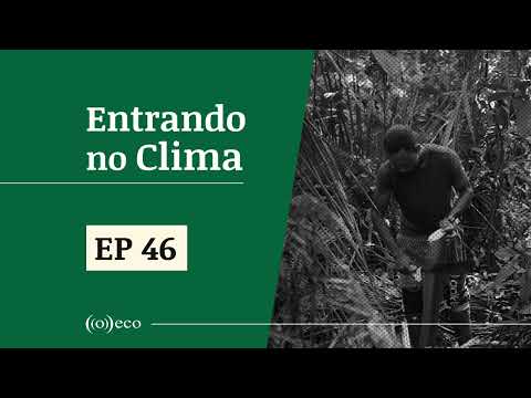Entrando no Clima #46 | Produtos compatíveis com a floresta