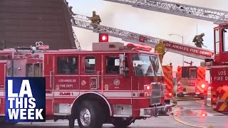 LAFD Brush Clearance