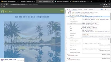 How To Make A Hotel Booking Website With HTML & CSS Only (Like Royal Tulip) Part 3
