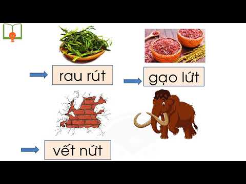 Tuần 10 - Tiếng Việt - Bài: Ut ưt