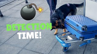 Using Our New Detection Wheel | Grassroots K9
