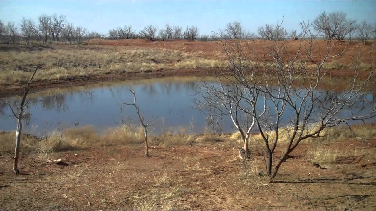 Remington Real Estate 940 521 9039 YouTube