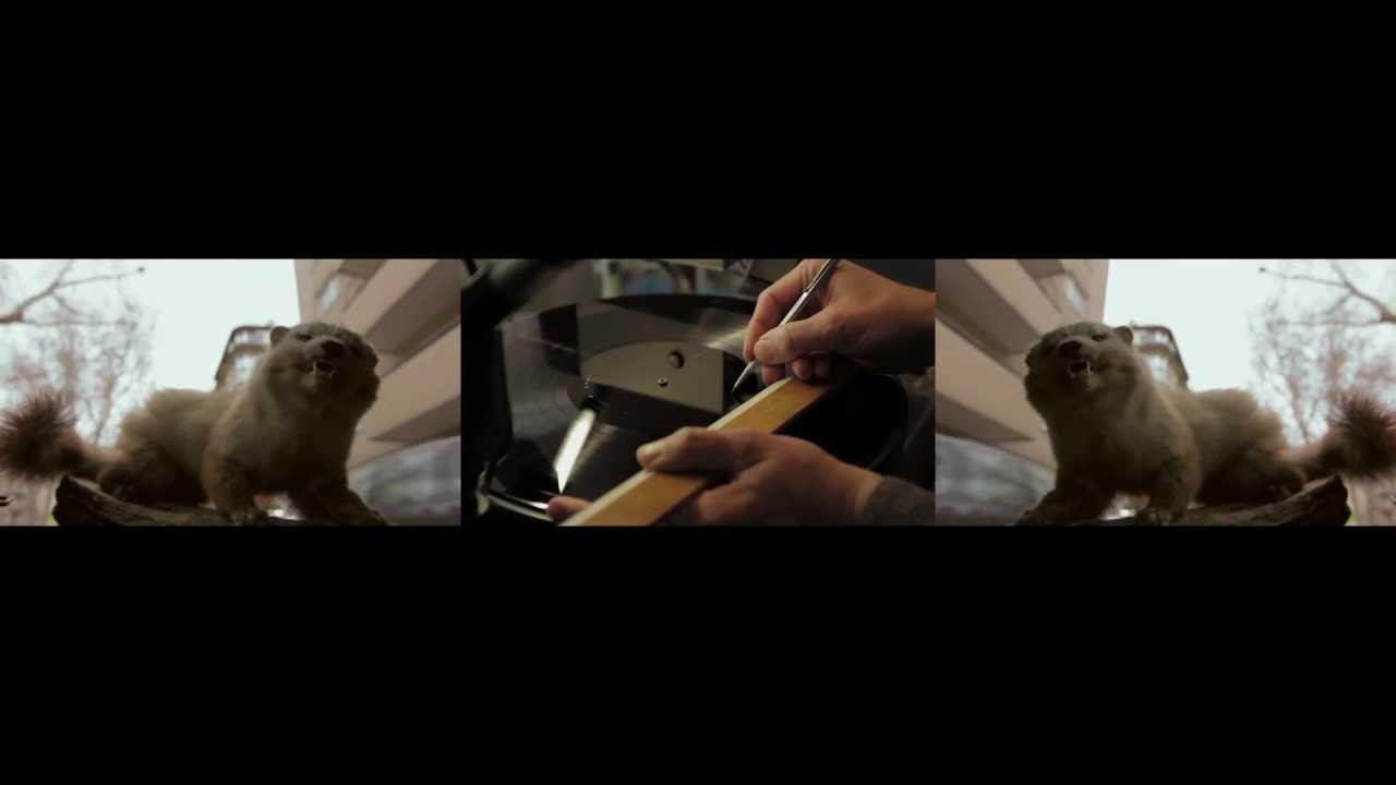 Figub Brazlevič - Der Beste Marder Im Parkhaus