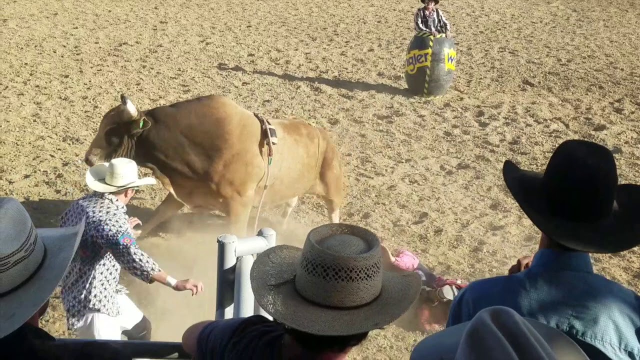 Cowley, Wyo Rodeo Bailey Ziehl