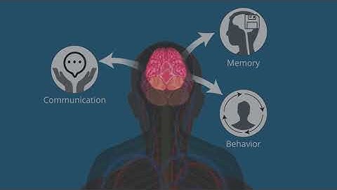 MimicKING the King - Oxytocin Analogs That Can Revolutionize Psychotherapy