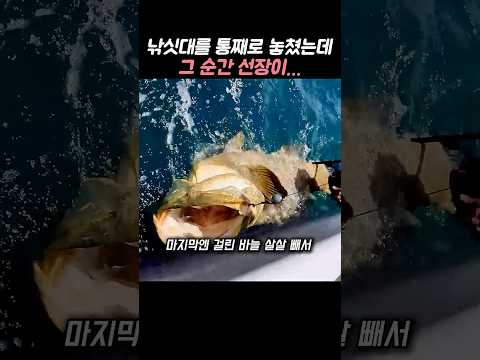 줄 듯 말 듯 약 올리니까 확 물어버리더니, 낚싯대를 놓쳐버렸는데… thumbnail