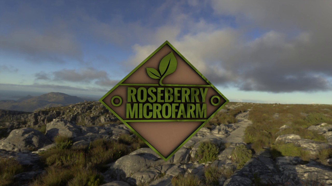 Microgreen video intro 