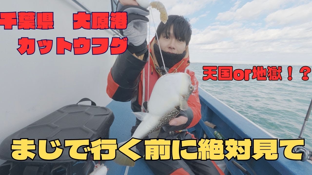 【フグ釣り】千葉　大原港　天国？地獄？最新釣り情報