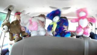 Cupid Shuffle with Bears