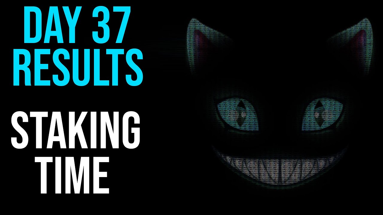 Wonderland Time Day 37 Results 82 000% APY (How Much Profit Did I Make)