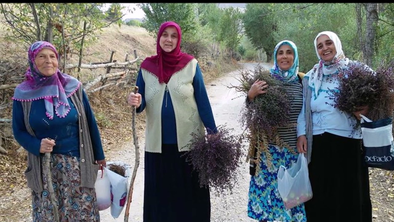 DİNMİYOR GURBET ACIN #karadeniz #kemençe #türküler #alucra #giresun #şebinkarahisar