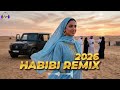 Dubai Nights – Habibi Remix 🌆 Luxury Club Deep House 2026