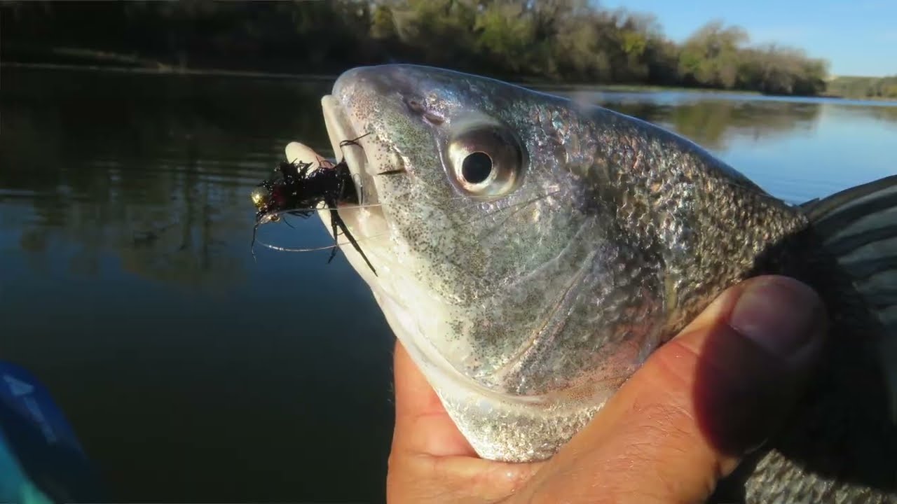 FishTales: The Bountiful Brazos River