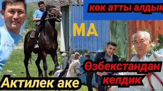 сатылды баары Өзбекстанга 💥ТАЛАШТА КӨК АТ🚀АКТИЛЕК АКЕДЕ