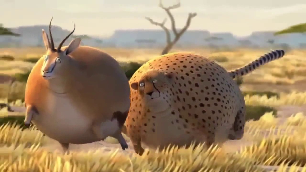 Funny Animal 