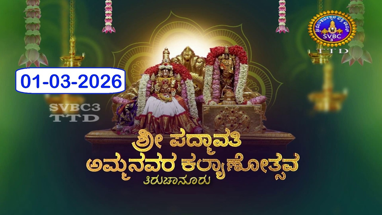 Sri Padmavathi Ammavari Kalyanotsavam || Tiruchanoor || 01-03-2026 || SVBC3 Kannada || SVBC TTD