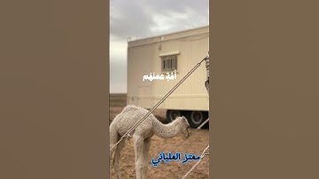 سورة الأنعام آية (108)