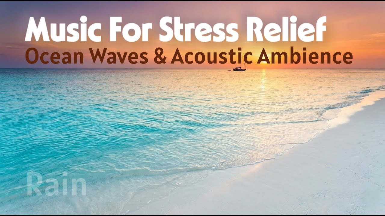 Rain 🌧️ Acoustic Ambient Music & Calming Ocean Sounds for Sleep and Reading - 