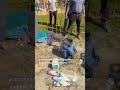 Удар ракетами Flamingo по Чебоксарам | #shorts