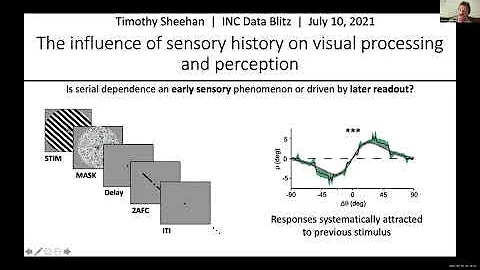 Tim Sheehan: The influence of sensory history on v...
