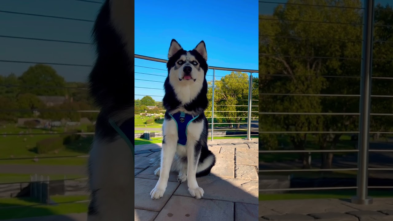 There’s always 2 in the home 🤪 