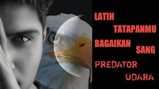 buat tatapan mata kalian bagaikan sang penguasa udara, Elang!