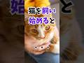 保護猫を迎える選択を、猫を飼うといいこと #人類ねこ同盟 #保護猫を家族に迎えるという選択 #保護猫を家族に