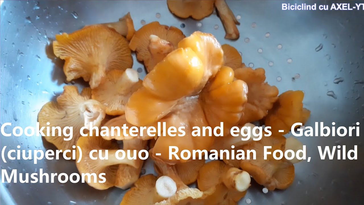 Cooking chanterelles and eggs Galbiori (ciuperci) cu ouo Romanian