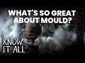 What&#39;s so Great About Mould? | Know It All S1E14 | FULL EPISODE | Da Vinci