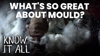 What&#39;s so Great About Mould? | Know It All S1E14 | FULL EPISODE | Da Vinci