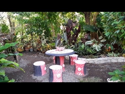 Bagong Taon..New Garden Transformation||Bria Amethyst
