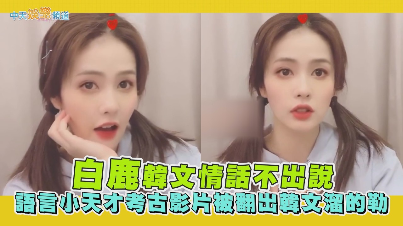 【撩星聞】白鹿韓文情話不出說  語言小天才考古影片被翻出韓文溜的勒