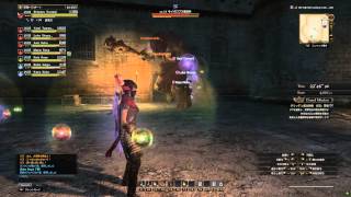 Dragon's Dogma Online Raid Gameplay Perfect Clear