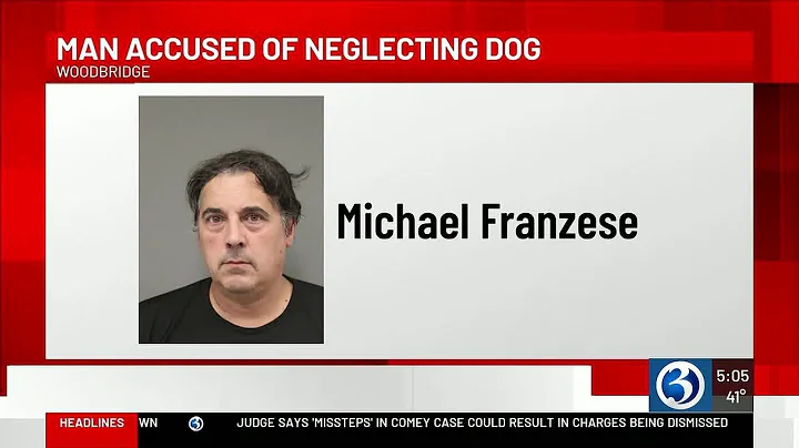 Man arrested after dog found severely emaciated at Seymour home