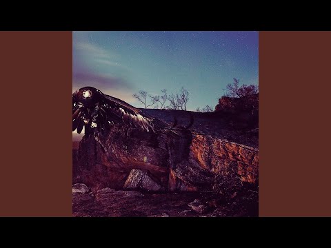 Morrison Kincannon — I Will See You Again