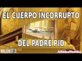 Milenio 3 - El cuerpo incorrupto del Padre Pio