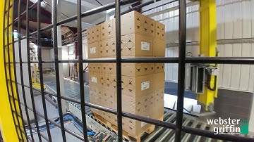 Fully Automatic Precise Robot Palletising of Cartons with Stretch Wrapper Protection