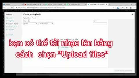 Hướng dẫn chèn nhạc vào sản phẩm hay bài viết trên WordPress