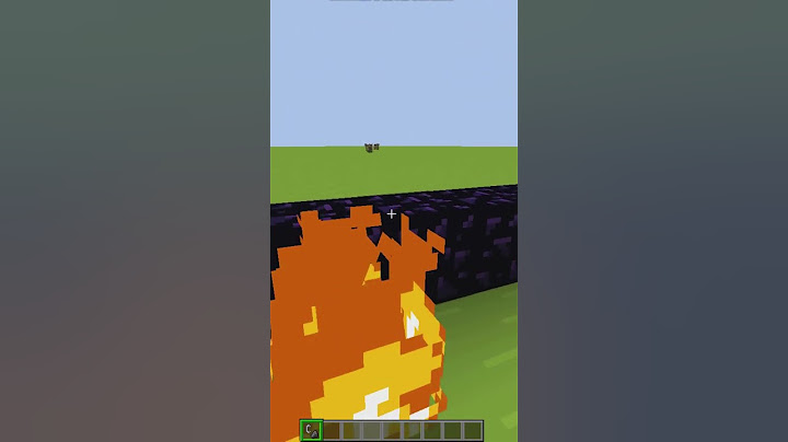 Qual é o maior portal do Nether ? #minecraft #videogames #youtube #angola