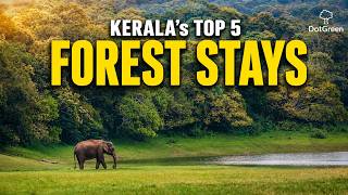 Kerala's Top 5 Forest Stays - From Budget to Luxury | My Personal Recommendations screenshot 3